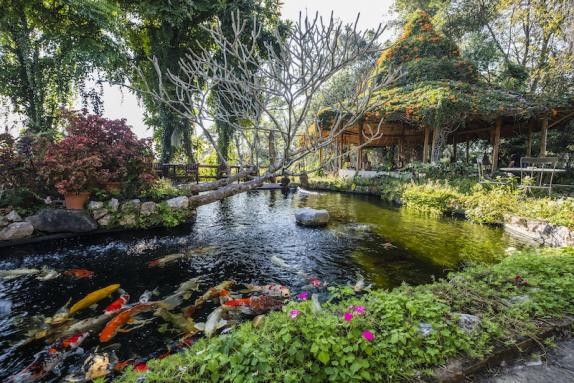 UX_Phu Chaisai Mountain Resort