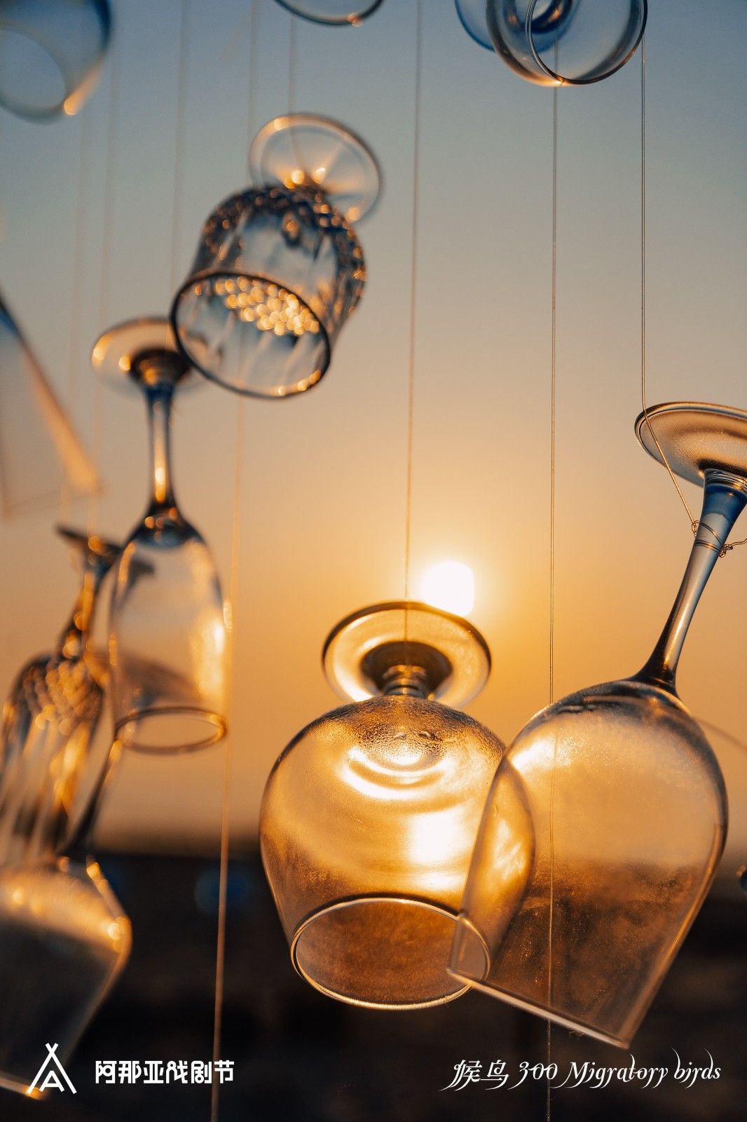 20230703551234827511.jpg 20230703551234827511.jpg