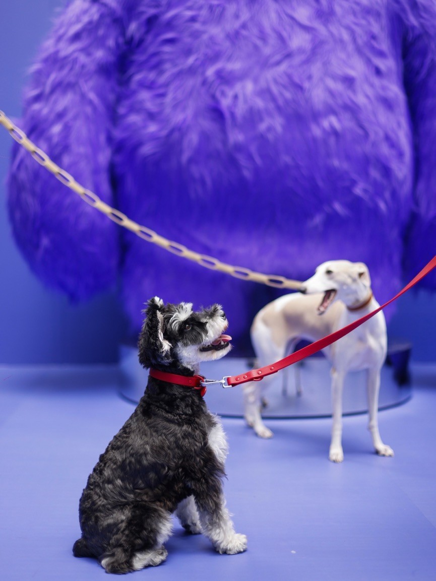 b3a148033194998a7b7459f8115eaa8