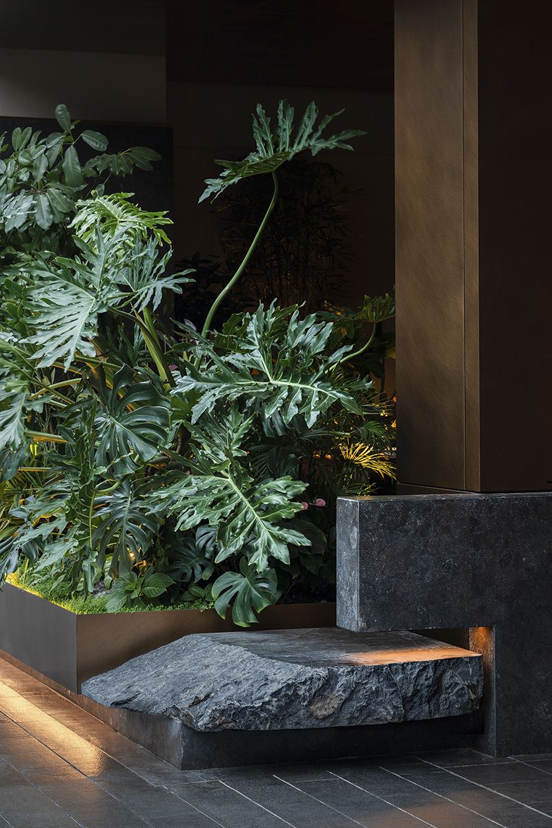 1724823926534067.jpg 24.jpg