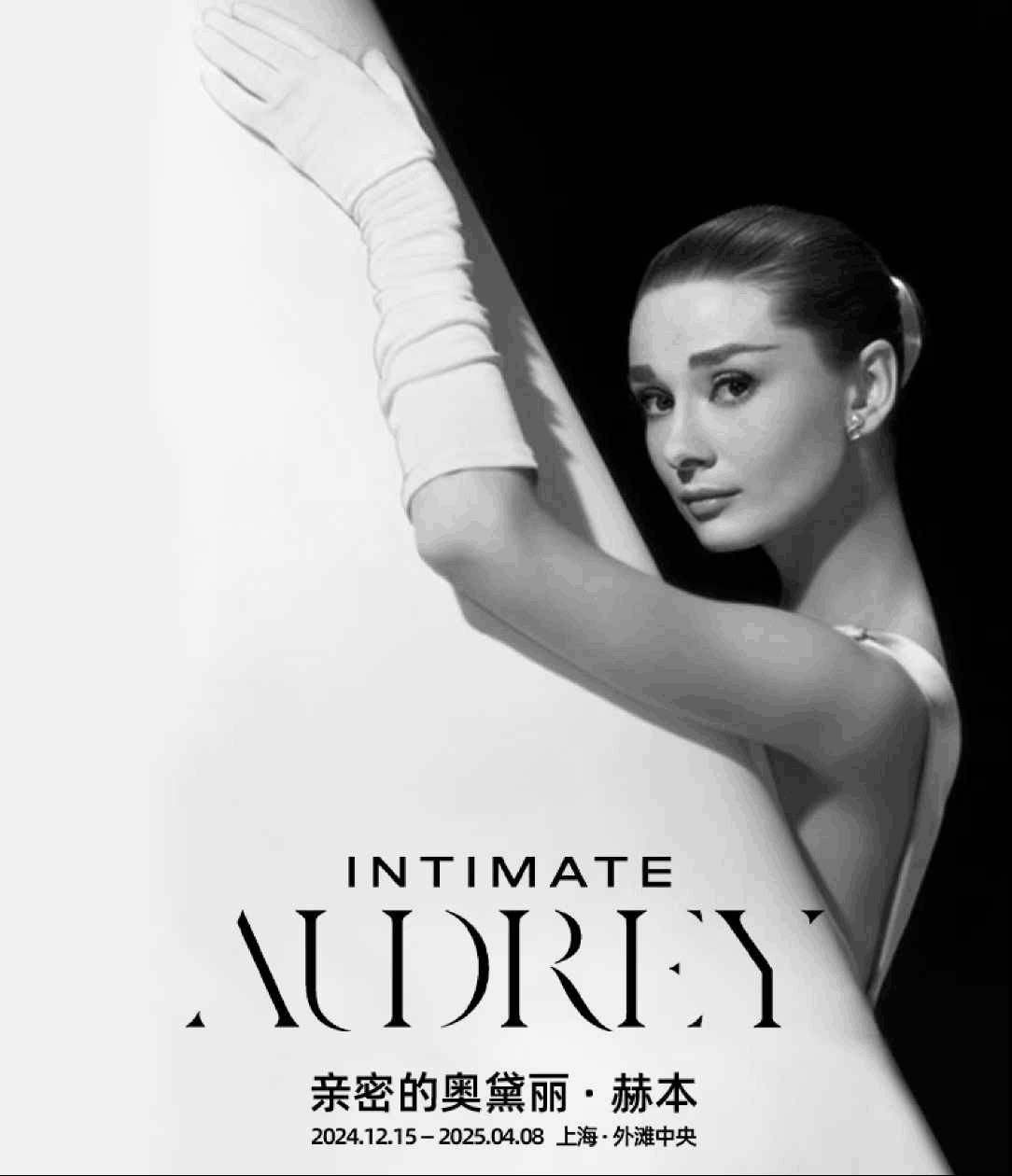 20241226101848885516.jpg 20241226101848885516.jpg