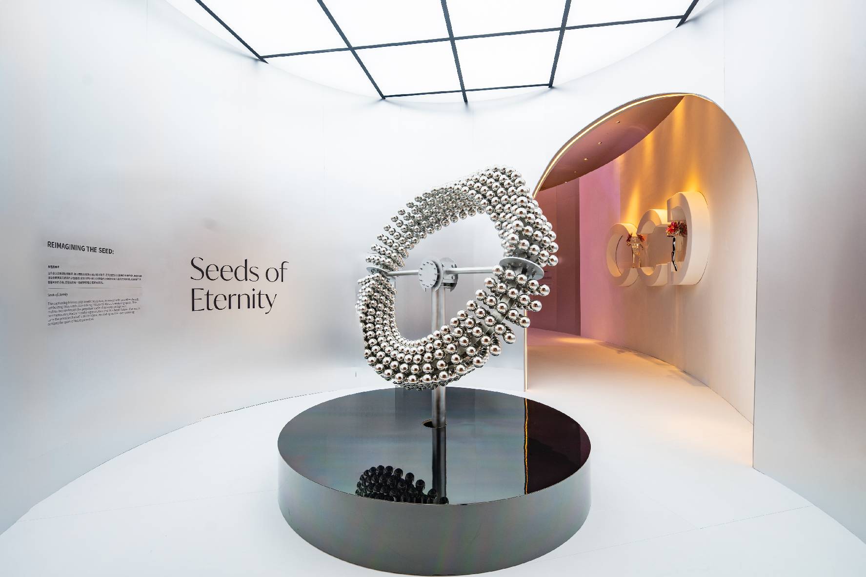 “永恒的种子”展区.jpg “永恒的种子”展区.jpg