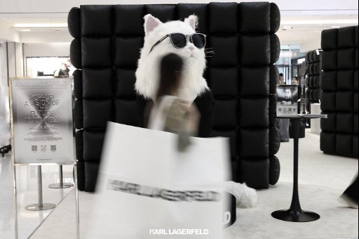 20251015441717204693.png image.png