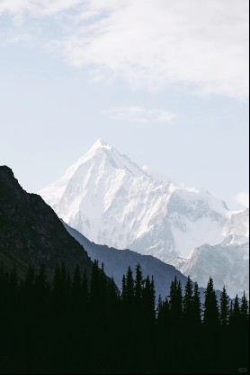 20251017451606346554.png image.png