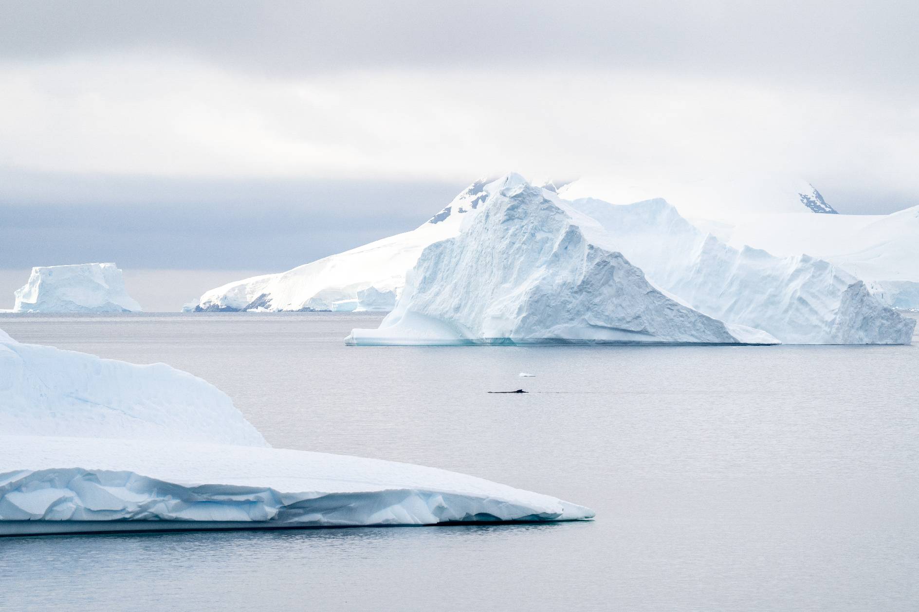 1765415314398197.jpg No-2155_LY170224_PORTAL_POINT_ANTARCTIQUE©StudioPONANT_OphélieBleunven.jpg