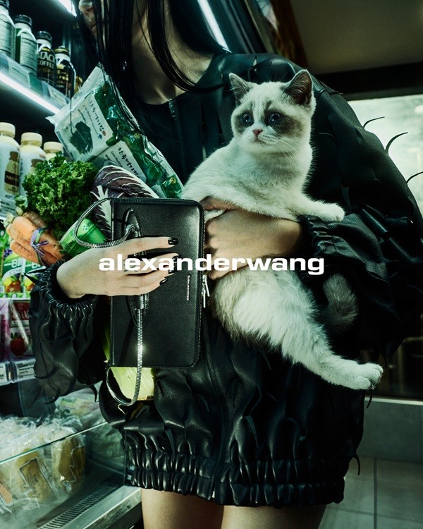 1775693991774588.jpg 微信图片_20260409081752.jpg