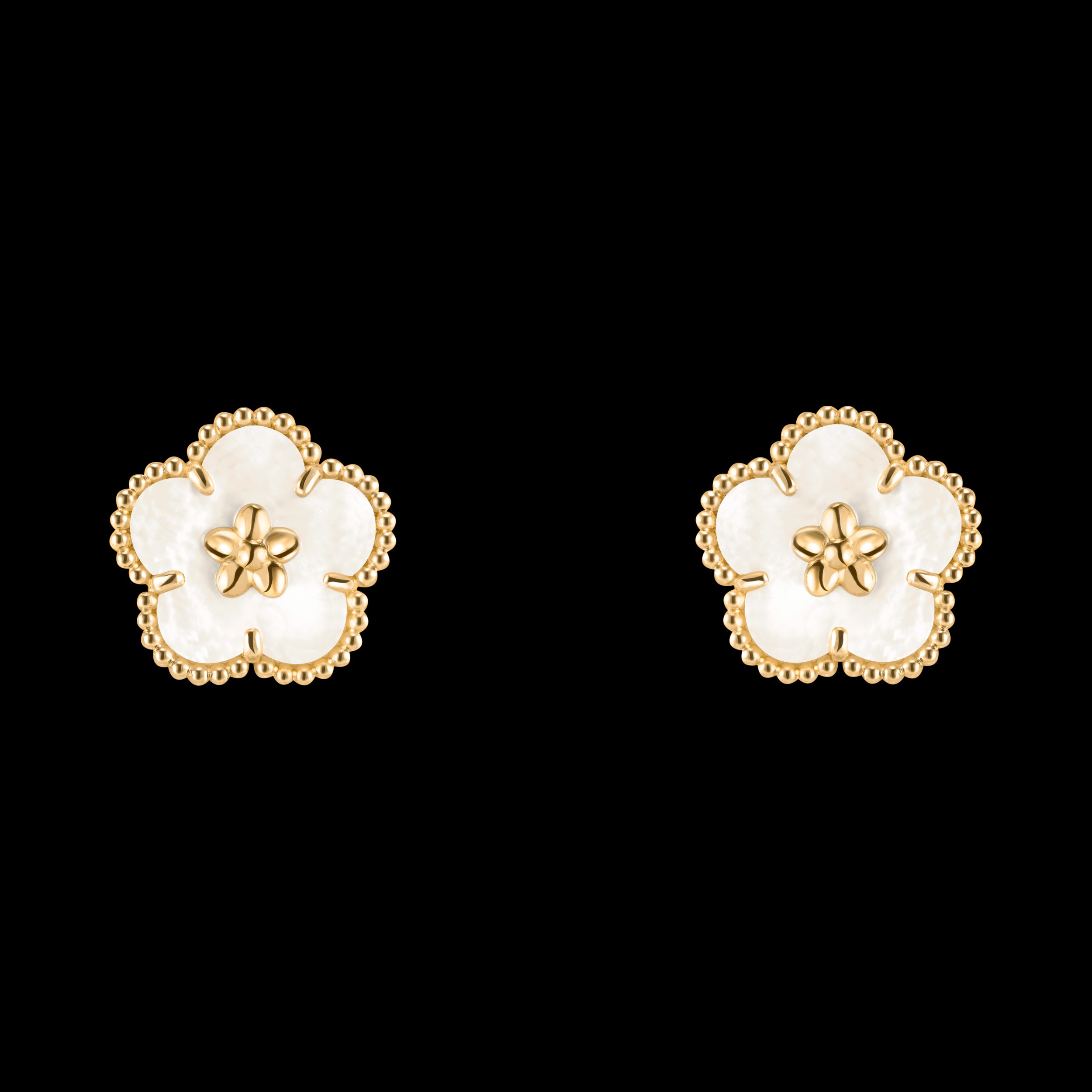 20260430031502646675.png