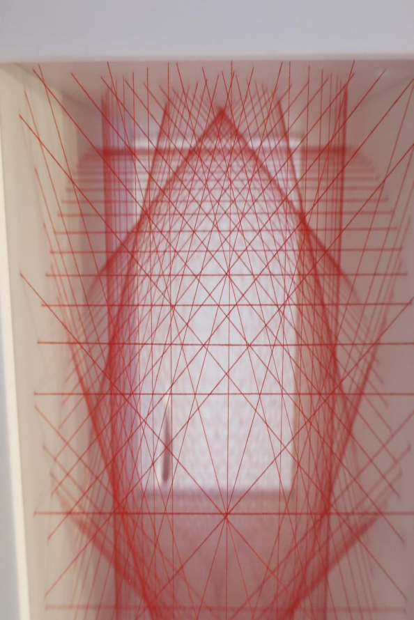 20260515081851771237.gif image.gif